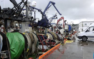 Future of Fisheries unclear ahead of tomorrow’s Trade negotiations