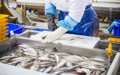 Seafish funds additional remote learning opportunities for seafood workers