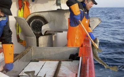 Iceland signs amendment on weighing and recording marine catch