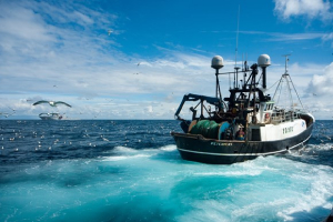 Scottish Fishermen's Sustainability future