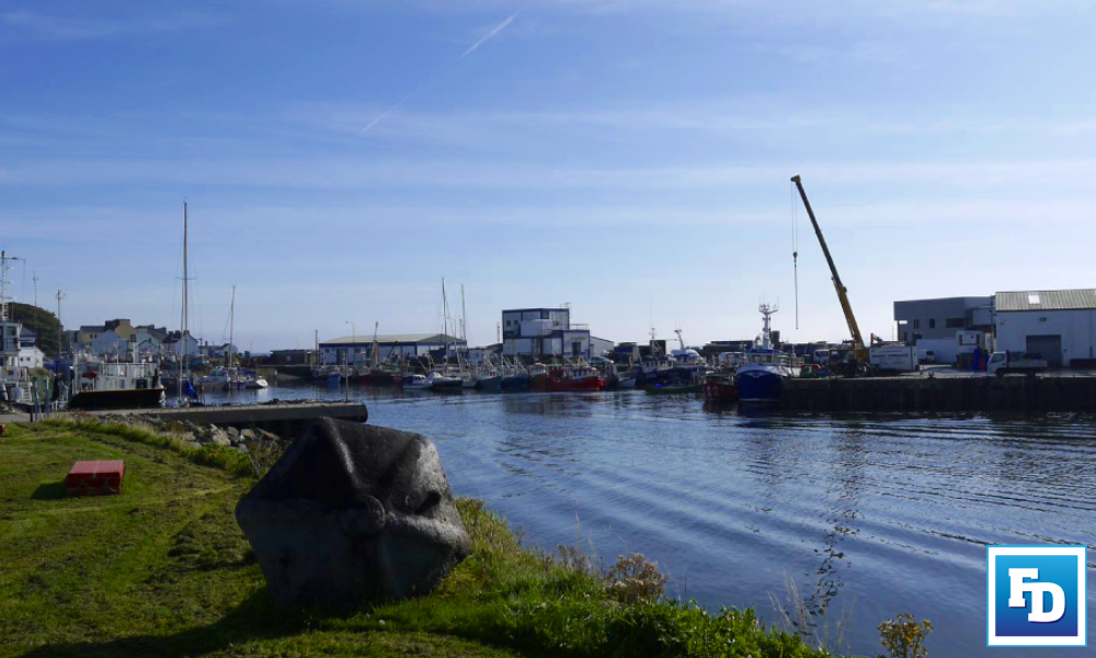 The Sea-Fisheries Protection Authority (SFPA) has opened several investigations into NI boats landing at Greencastle since 01 January 2021