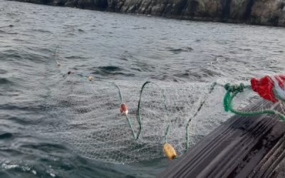 13km of illegal nets among 1200 items seized by Inland Fisheries Ireland