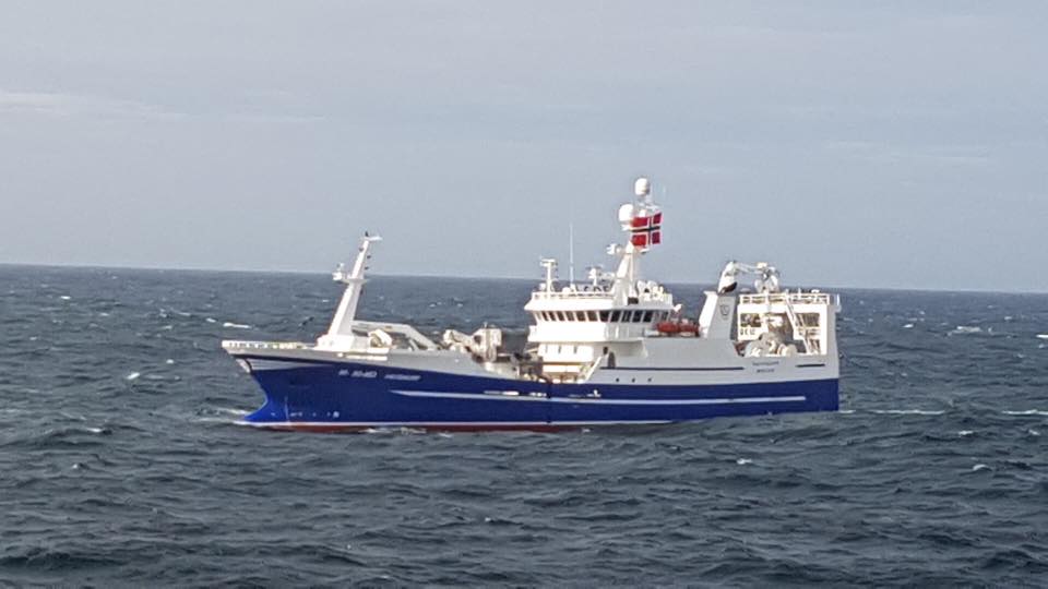 norwegian pelagic killybegs mackerel