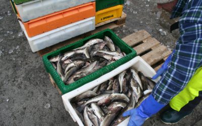Historic agreement for the Baltic Sea is a full-blown disaster