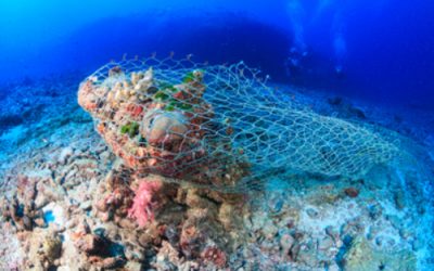 Marine Scotland announces funding to tackle marine litter