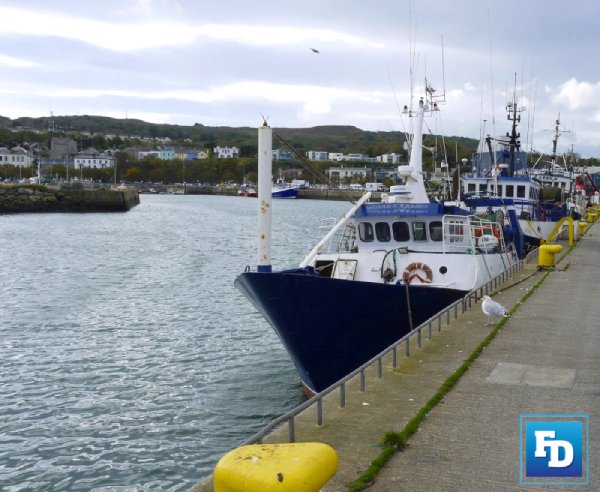 ITF welcomes Liberty Shared's petition to US Customs and Border Protection agency asking it to investigate forced labour links to Irish seafood