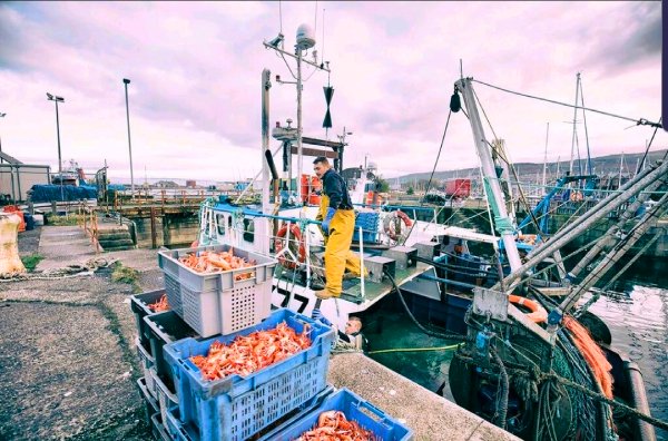 Coastal Fisheries in Crisis Due to Political Decision Disconnected from Fishing Communities says the Clyde Fishermen's Association