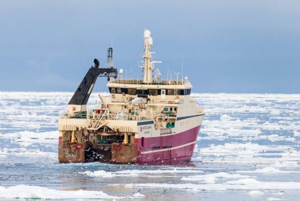 Fiskarlaget call for and exemption to ice fishing in Svalbard. Arctic Swan shrimp fishing in icy waters. Photo: Henning Flusund.