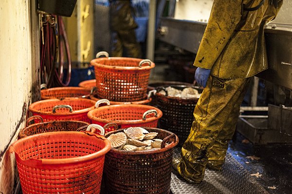 EFRA Committee will hold an inquiry into the UK Seafood Fund