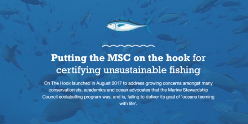 The On The Hook campaign has launched a review of the Marine Stewardship Council (MSC) and calls on everyone to participate