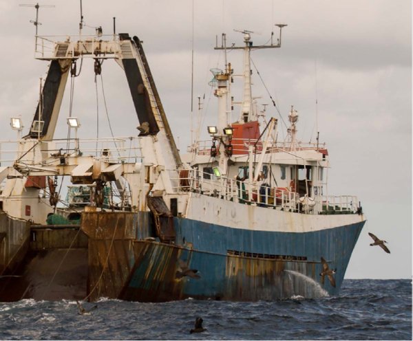 European Union regulation prevents abusive reflagging, but profits from illegal fishing can still enter EU a new EU IUU Coalition report finds