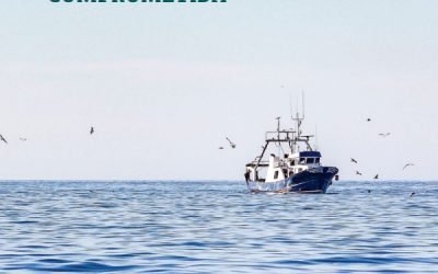 Spanish Fishing Sector Report 2022 shows growth in fish production value