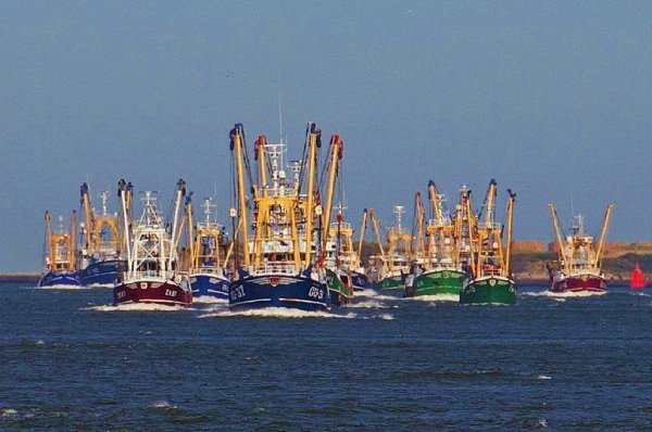 Dutch fishermen blocked harbours in the Netherlands today in protest at soaring fuel prices and over the marine spatial squeeze. Photo: EMK