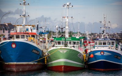 EU Fishing Sector Calls for Urgent EU Action as Fuel Prices Surge