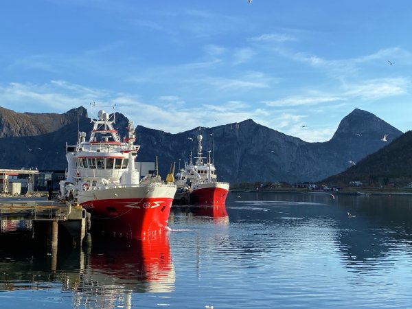 Norwegian boats report continued mackerel fishing in the north and attractive North Sea herring from the east of Shetland Fiskebåt has called on the Norwegian government to include the fishing fleet in the climate partnership week 45 2023 norwegian pelagic