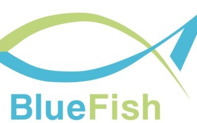 BlueFish look forward to 2023 after successful Expo 2022