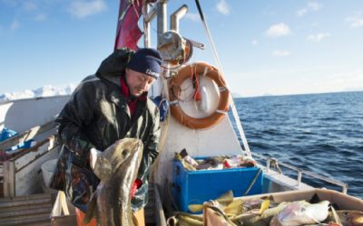 Norwegian seafood organisations call on government to stand-up to EU