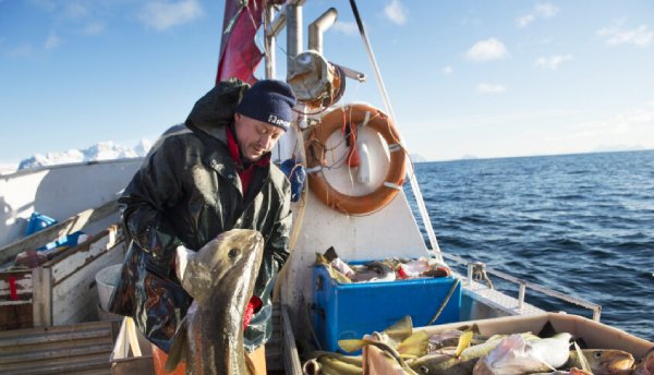 norwegian seafood organisations eu norwegian seafood exports 2022