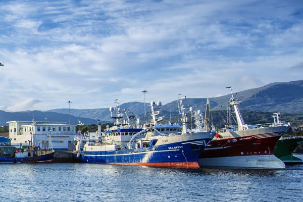 BIM has published the Annual Fisheries Report designed to provide insights into the status of Ireland’s catching sector on an yearly basis
