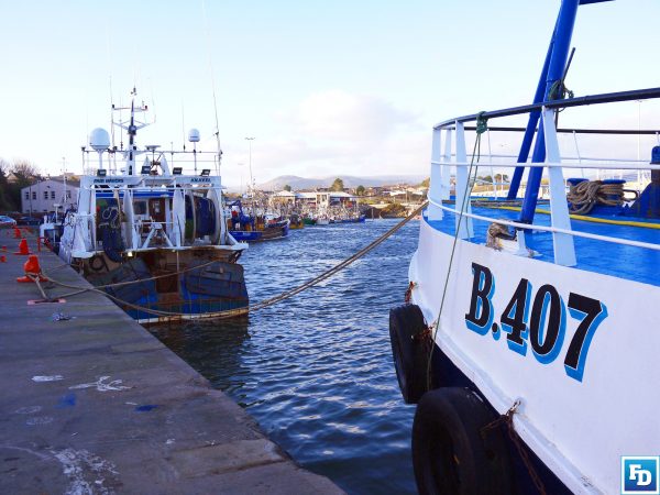 The MMO has published its annual UK Sea Fisheries Statistics 2021 providing an insight into the industry