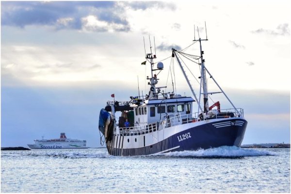 The European Commission has approved a €7.7 million Swedish scheme to support the fishery sector in the context of Brexit