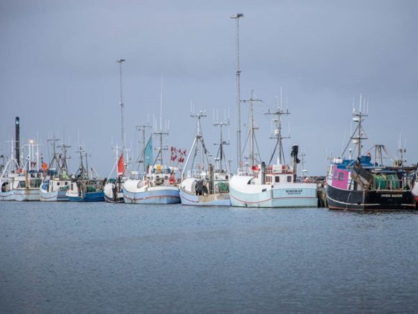 The NSAC has offered its advice on the decarbonisation of the fishing fleet to the European Commission danish onboard camera report