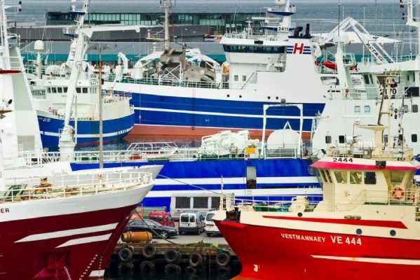 Iceland has started work of the mapping of management and ownership relationships in the fishing industry project called Our Resource