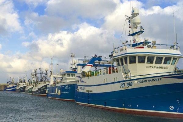 Marine Scotland has published the results of an online survey regarding the wild capture fishing sector which was held during the COP26