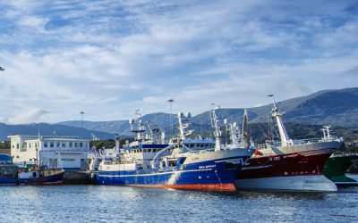 Ní Mhurchú Plans Castletownbere Meeting Amid Irish Fishing Concerns