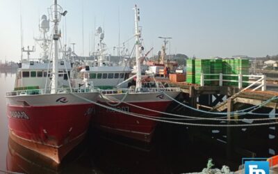 EU Activates Emergency Fisheries Funding Amid Middle East Crisis