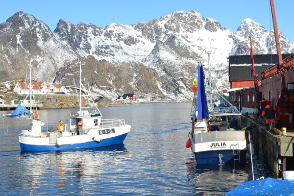 postpone reporting norwegian fishermen's