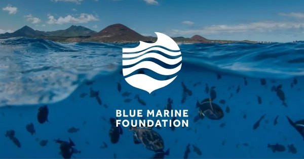 The NFFO has slammed the Blue Marine Foundation calling it wealthy, well-connected and wrong when it comes to facts about sustainable fishing