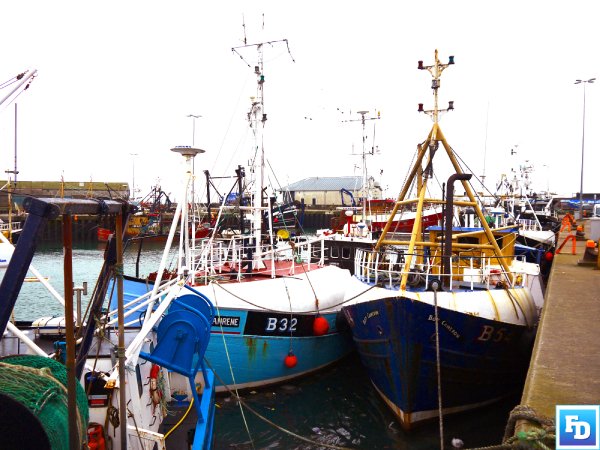 The Minister for Immigration has confirmed that he will be meeting the fishing industry to discuss the current issues on crewing