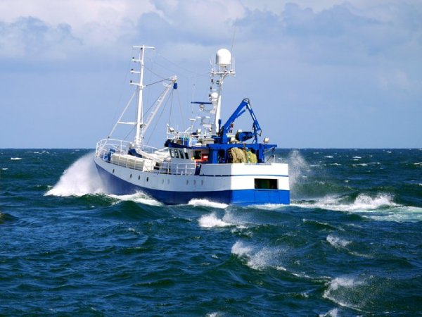 The UK has reached agreements with the EU and Norway, and wider coastal states, to secure valuable fishing opportunities for 2023 carmichael fishing visa rejection Ministers in the UK Parliament have plans to unveil plans for REM to stop overfishing in British waters, according to The Telegraph scottish fishing opportunities 2024