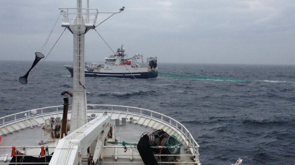 Norwegian pelagic fleet on good herring with foreigners landing mackerel