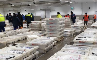 Peterhead Fish Market faces landing boycott due to rule changes for fish buyers