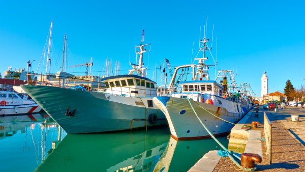 New insights published by SEAwise, into ecological and human influences on European fisheries delivers key findings on ecosystem Based Fisheries Management CEPESCA strike fisheries plan ETF calls on the European Commission to adopt balanced measures equally supporting the three dimensions of the EU Common Fishery Policy EU fisheries progress sustainability