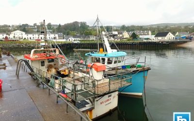 Brexit Inshore Fisheries Business Model Adjustment Scheme 2023
