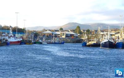 SEA Alliance to Conduct Investigation into Northern Ireland fishing group