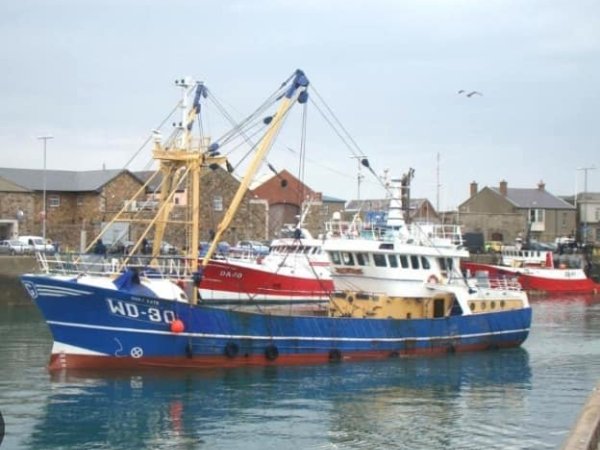 Minister McConalogue announces appointment of Mr Michael Finn and Mr Jonathan Hoare as new Authority Members to the SFPA Quarterly reminder issues to Food Business Operators on their obligations to pay mandatory fees for Sea-Food Safety Official Controls performed by the SFPA SFPA weigh permits reminder sfpa notice export china The SFPA have detained a fishing vessel, in the Irish EEZ for alleged sea-fisheries protection authority webinarnon-compliance with European fisheries legislation sfpa eight seafood enforcements new zealand export SFPA reminder animal by-products dundalk bay specified zone trading great britain Seafood Safety Enforcements Q3 2023 workshop shellfish harvesting