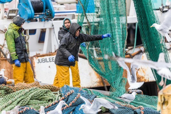 hiring labour outside UK seafish carmichael fishing industry visa