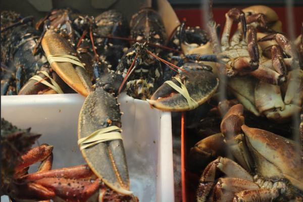 decapod crustacean welfare report 