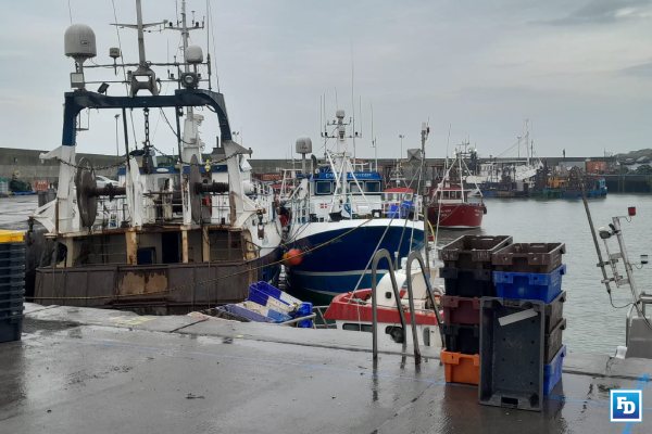 irish fisheries brexit fund