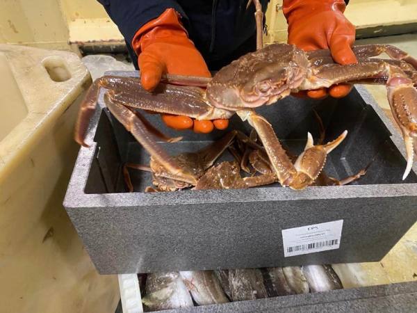 air greenland snow crab delivery aerial bridge