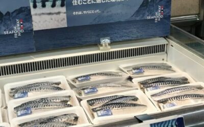 Norwegian Seafood Exports Reach New Monthly High Amid Record Mackerel Demand