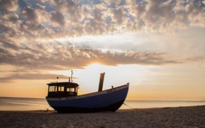 EU Fisheries Committee Seek Revision of Baltic Sea Multiannual Plan