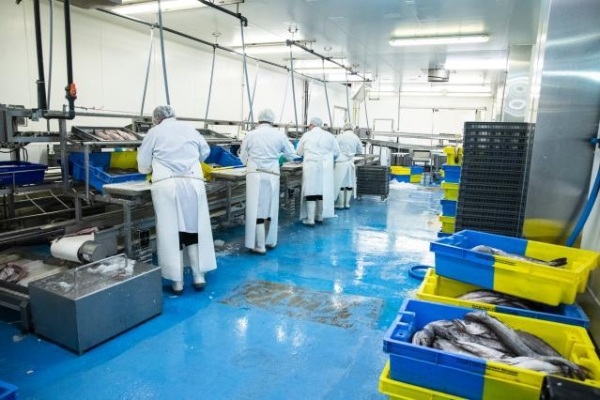 EU valorisation by-products changes