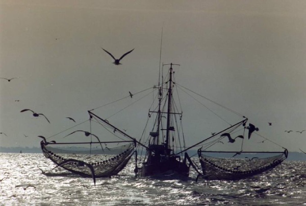 German Fishing Boat german fishermen baltic quota