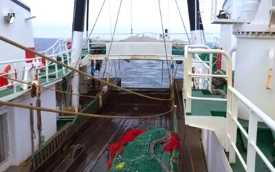 Iceland Fishing Fleet Records Total Catch of 88,000 tonnes in October