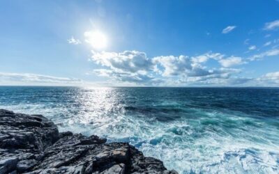 BIM Conference to Guide Seafood Firms on Growth & Succession